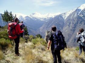 photo coins arrondis